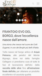 Mobile Screenshot of evodelborgo.com